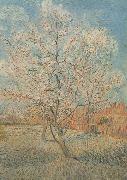 Vincent Van Gogh Peach Tree in Blossom (nn040 oil on canvas